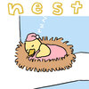 Nest