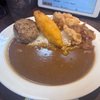 ポークカレーハンバーグフライドチキン３個税込994円！！CoCo壱番屋で1000円以内でライフハックのつもりがついついトッピング！！