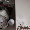 水曜