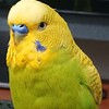 ４月１日の相場を見てみたよ　チュン