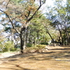 城北公園とスカイプ授業。