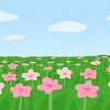 今日の名言2022.01.27アイリーン・キャディ