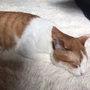 なんやかんや生きてる