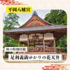 【京都旅】秋の特別拝観！花の天井で有名な平岡八幡宮へ参拝！