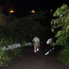 夜の世界は？