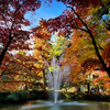 Part 2　加茂山公園へ紅葉狩りに行ってきました