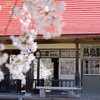 初めて訪れてもどこか懐かしい、福島県の「ノスタルジック桜」6選