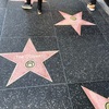 【映画好き必見！】ハリウッドで永遠に下見て歩く