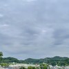 犬はペットか家族か