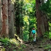 【野沢の山の神様】6月18日（日）に西会津町野沢の大山祇神社の御本社（奥宮）まで参拝に行った話。【6月は大山まつり】