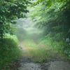 雨の山歩き、その２