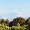 今朝の景色