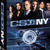 TVドラマ「CSI:ニューヨーク／第2話 夜の獣たち」