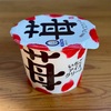 それは本当にアイスクリームですか？ | 久保田の『苺アイスクリーム』【添加物不使用】