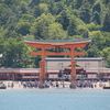 広島旅行二日目〜宮島編〜
