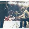 Your New Cuckoo【 The Cardigans 】#504