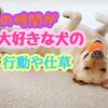 1人の時間が大好きな犬の行動や仕草