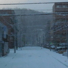 初雪！