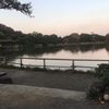 11.5 二度寝、思い出が蘇る横浜三渓園、おいしい珈琲が飲める根岸カフェハンズ
