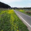 本村・小屋敷・高畑・苧生田・岡・上東の六地蔵