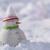 雪の感触と生の実感