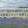 ラベンダー畑が札幌市内で見れる!穴場な絶景スポットを教えます!