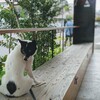 犬に優しかった栃木県。