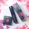 visee秋の新作コスメ🌟グラデリップ💄💕