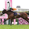 競馬初心者必見☆馬券予想🔥〜桜花賞〜アルマヴェローチェは血統的には軽視？