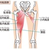 #88 【内もも付け根】の引き締めはこの種目でOK！効果抜群の内ももトレのコツとポイントを覚えてカンタンにやろう