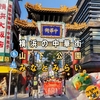 【中華街⇒山下公園⇒コスモランド】横浜堪能【6月限定 ドラゴンちまきまん】