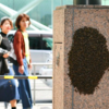 気づきにくいが変化している！