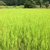 やっと明けた