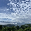 【高尾山・小仏城山登山】曇りと晴れとドシャ降りの山行でした