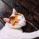 omuphotoのブログ