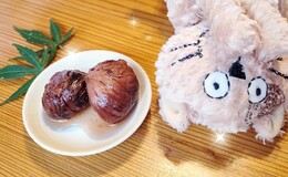 記事を見る