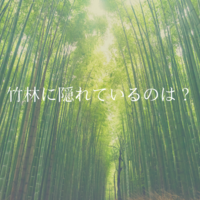 相棒17 第2話 ボディ 二重の罠 感想 動機は 惚れた弱み 中卒フリーライターほぼ無職