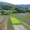 やまとめぐり（１８）　明日香村。