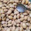 自家製納豆が絶賛発酵中です！