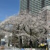 前日の思いつきで、「ガイアノーツ20周年祭」に行ってきた。