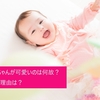 【育児】赤ちゃんが可愛いのは何故？その理由は？