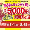 【８/３１】みょうが現金5000円キャンペーン【レシ＋商品/web】 【応募券/はがき】 