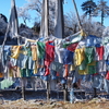 ブータン旅行記９