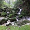 鬼ヶ鼻岩〔第950歩〕