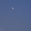 crescentmoon (ご調教 4/18)