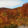 カーブが69個！東洋一の鉱山廃墟！？個性的な紅葉を車窓から楽しむ絶景３選