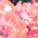 ガラスのりんご通信