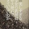 2020/11/30読了 会田誠『美しすぎる少女の乳房はなぜ大理石でできていないのか 』（幻冬舎）