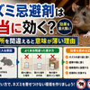 ネズミ忌避剤は本当に効く？置く場所を間違えると意味が薄い理由