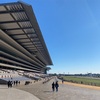 東京競馬場に行ってきた話と当日のレース回顧